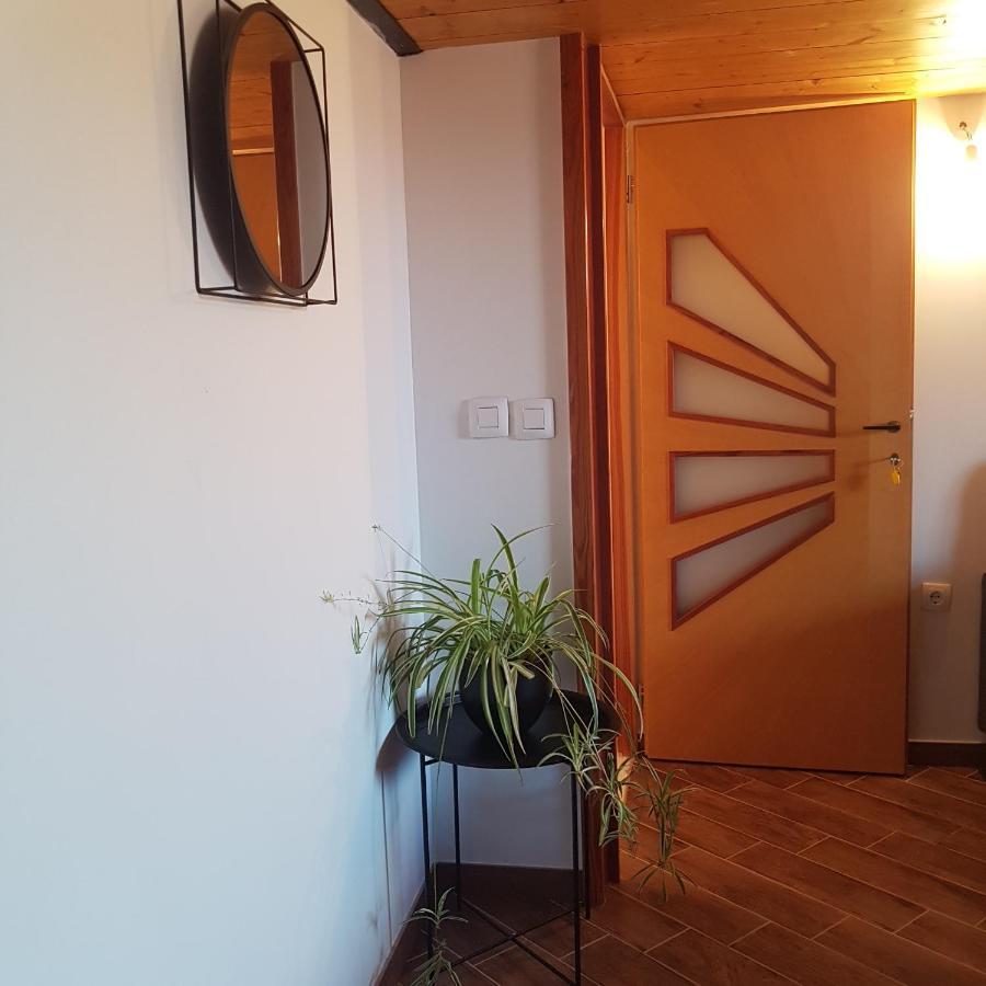 Appartamento Jardin Kapetanova Kuca Veli Iž Esterno foto