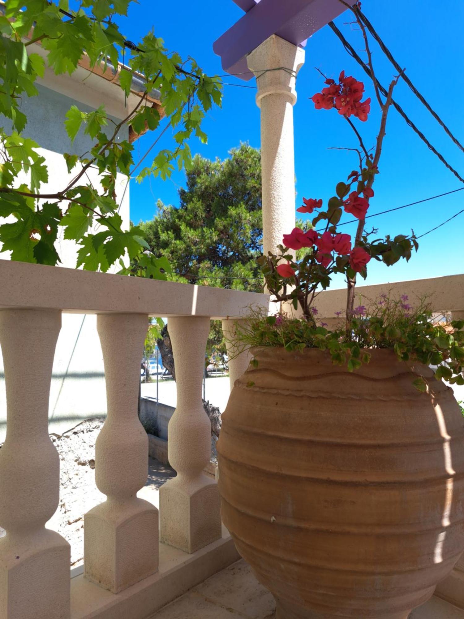 Appartamento Jardin Kapetanova Kuca Veli Iž Esterno foto